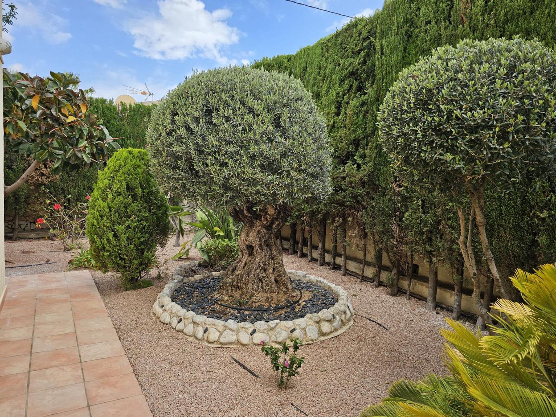 Luxury Villa - Pool, Hot Tub, Aircon, Tvs, Home Cinema, Office, Gbit Internet, Sports Equipment Calpe Esterno foto
